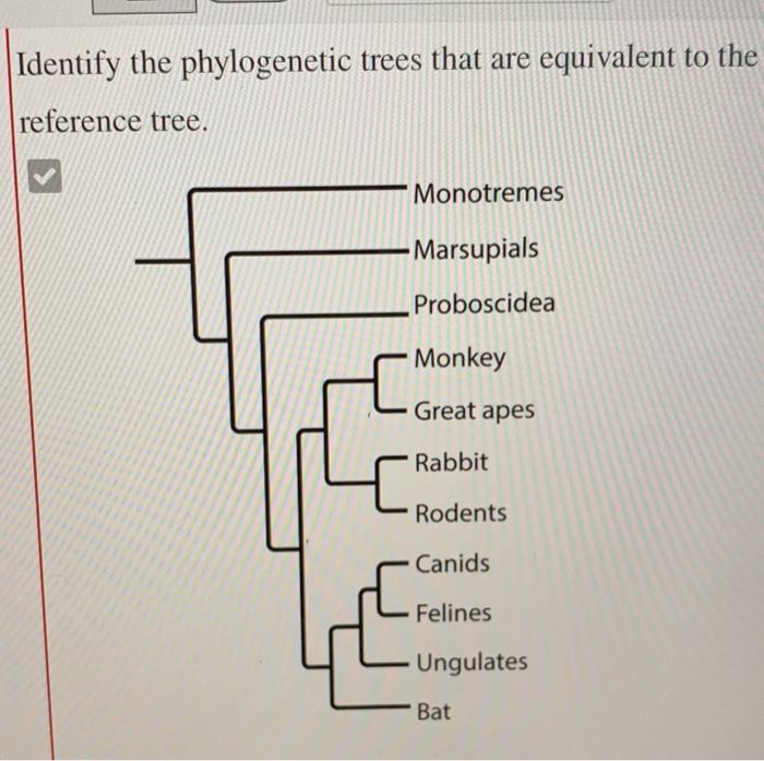 hypothesis of evolutionary biology