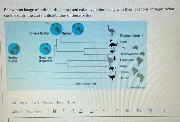 Solved Match the following sedimentary rocks with the most | Chegg.com