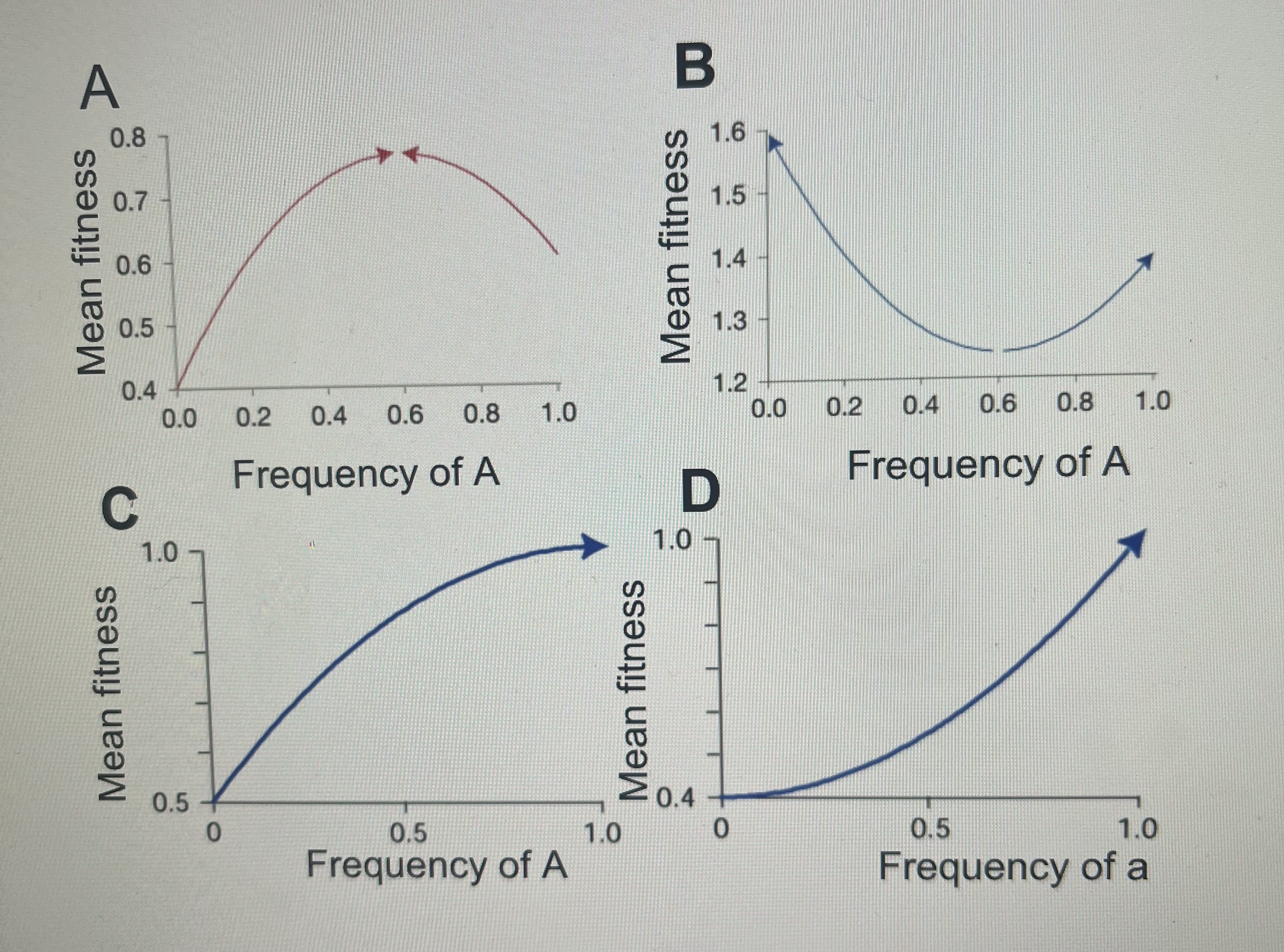 Solved Which graph above represents the change in average | Chegg.com