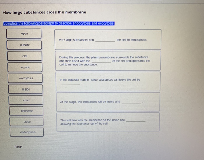 Solved How Large Substances Cross The Membrane Complete The Chegg Com