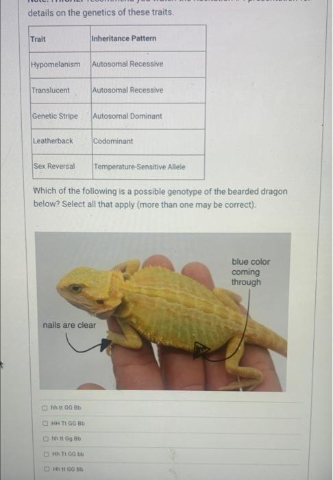 Solved Details On The Genetics Of These Traits. Trait | Chegg.com