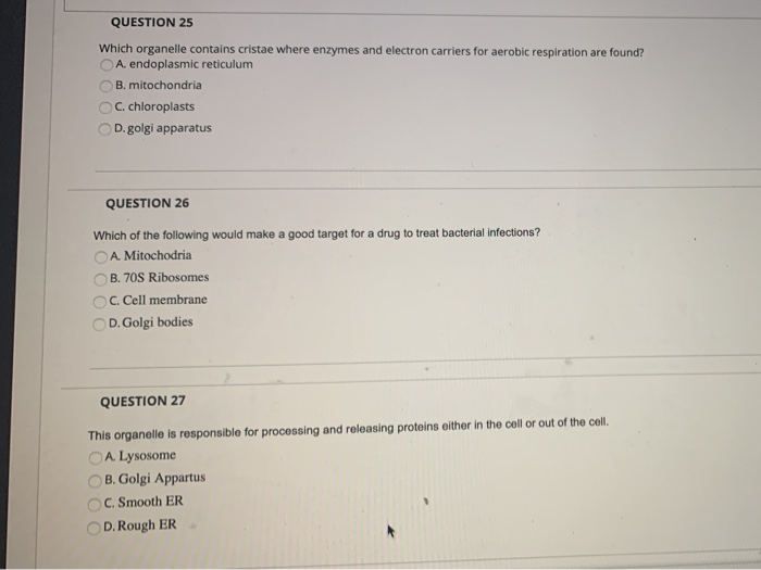 Solved Question 25 Which Organelle Contains Cristae Where 