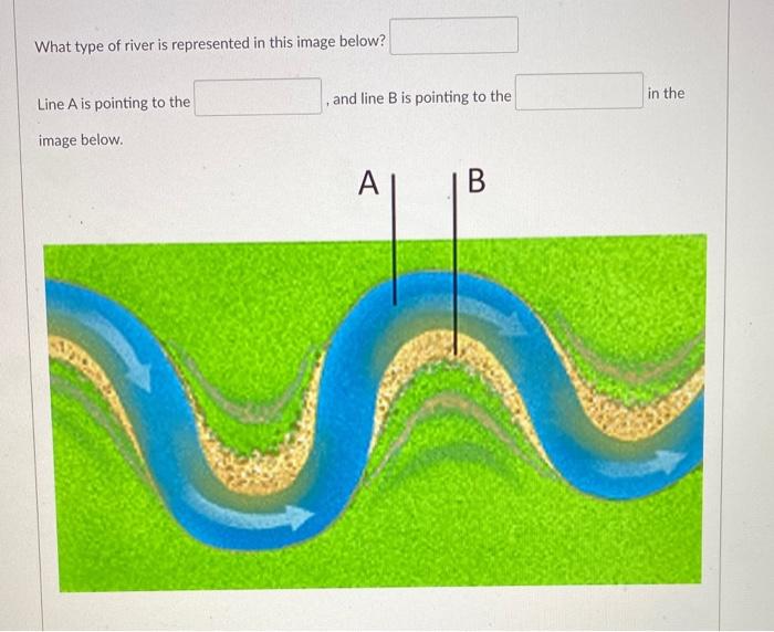 Solved What type of river is represented in this image | Chegg.com