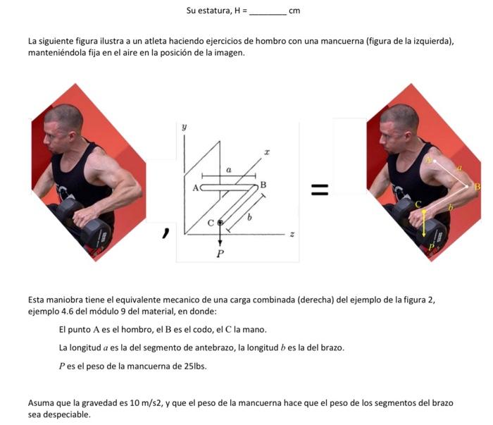 Su estatura, \( H=\quad \mathrm{cm} \) La siguiente figura ilustra a un atleta haciendo ejercicios de hombro con una mancuern