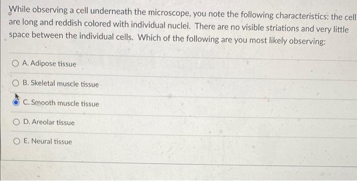 Solved While observing a cell underneath the microscope, you | Chegg.com