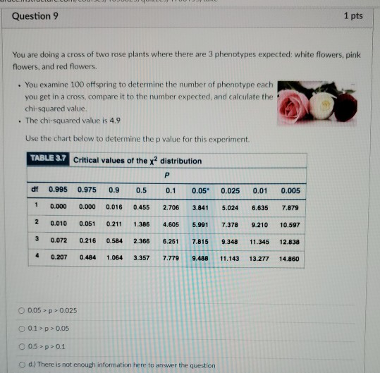 Solved Question 6 1 pts As you now know, hair length in cats | Chegg.com