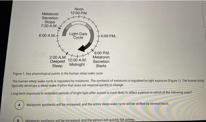 Is noon 12:00 a.m. or 12:00 p.m.? 