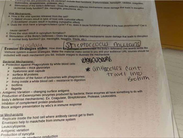 Solved how does streptococcus mutans eacape the bodies