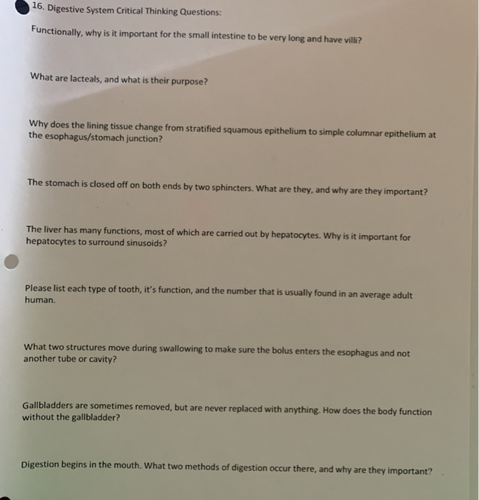 digestive system critical thinking questions