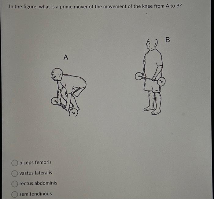 Solved In the figure, what is a prime mover of the movement | Chegg.com