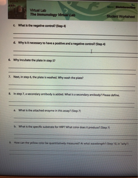 immunology-virtual-lab-worksheet-answers-free-download-qstion-co