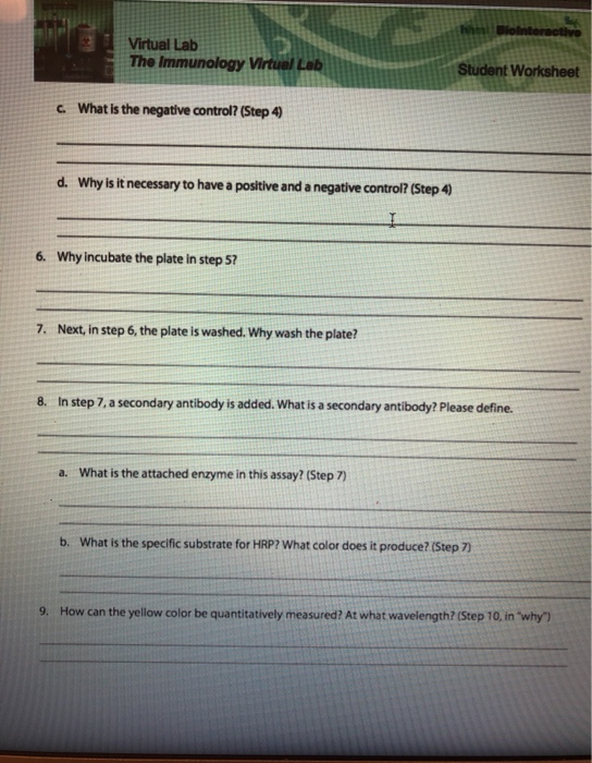IMMUNOLOGY VIRTUAL LAB WORKSHEET ANSWERS