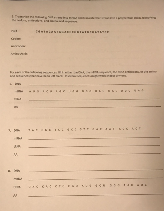 Solved 5. Transcribe the following DNA strand into mRNA and | Chegg.com