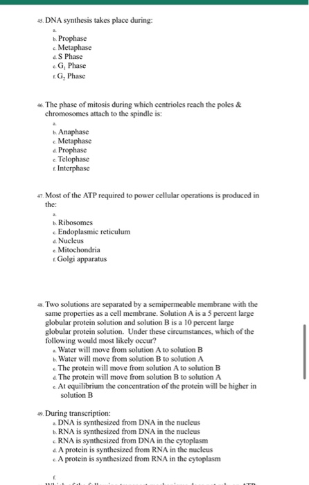 Solved 45. DNA synthesis takes place during: b. Prophase c. | Chegg.com