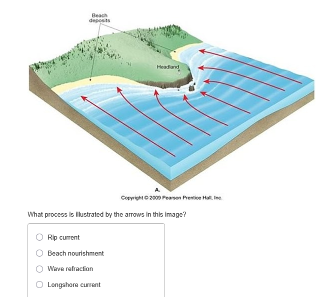 Solved What process is illustrated by the arrows in this | Chegg.com