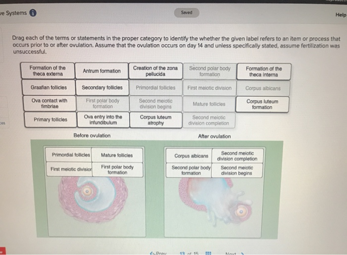 Solved we Systems Saved Help Drag each of the terms or