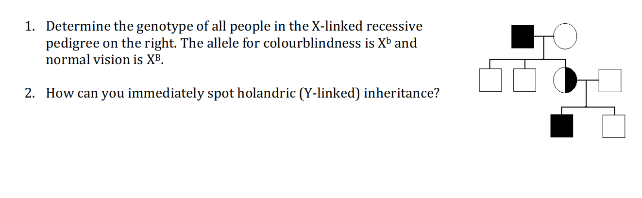 Holandric Solved 1. Determine the genotype of all people in the X | Chegg.com