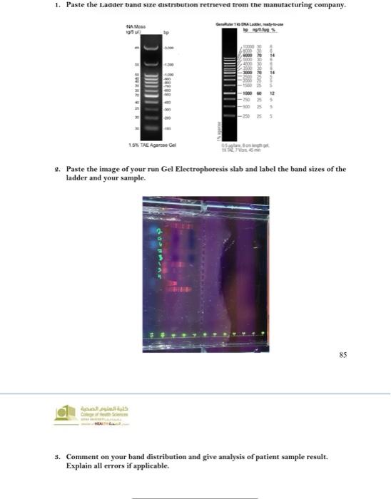 Solved 1. Paste the Ladder band size distribution retrieved