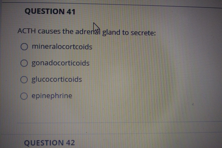 Solved All Are Characteristics Of The Endocrine System 