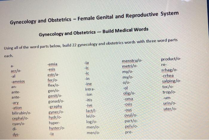 Gynecology and Obstetrics - Female Genital and Reproductive System Gynecology and Obstetrics - Build Medical Words re- Using