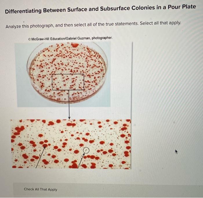 Solved Differentiating Between Surface and Subsurface