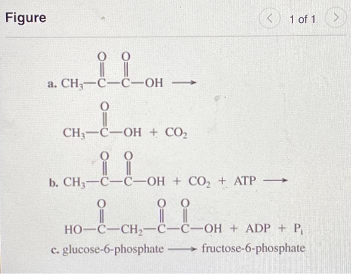 Solved Part A What is the class of the enzyme that would | Chegg.com