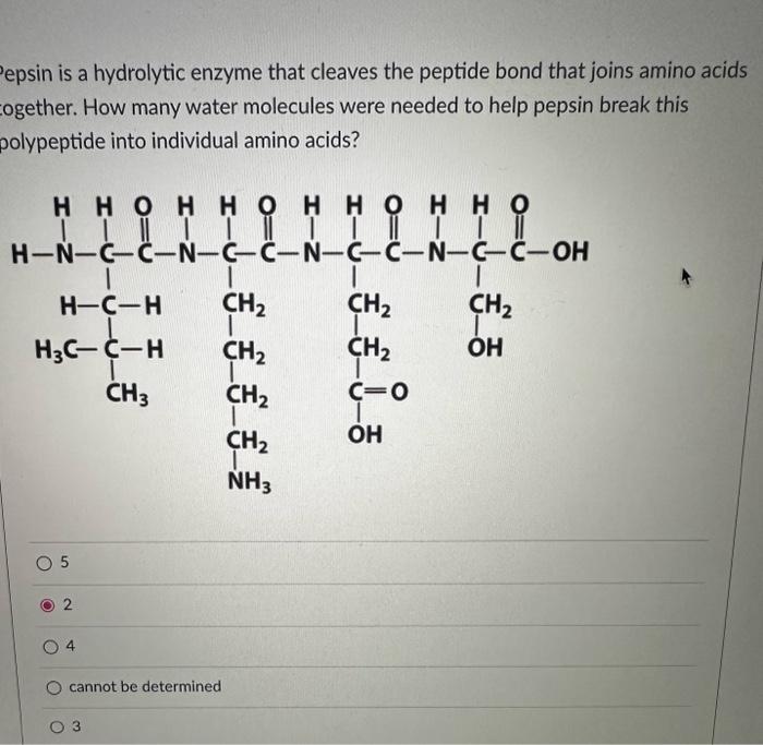 Solved epsin is a hydrolytic enzyme that cleaves the peptide