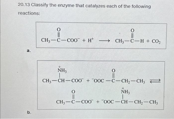 Solved 20.13 Classify the enzyme that catalyzes each of the | Chegg.com