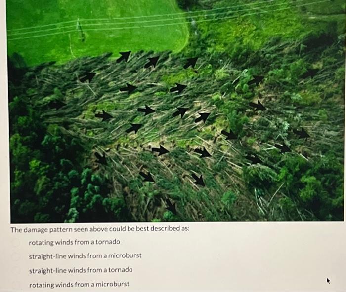 Solved The damage pattern seen above could be best described | Chegg.com