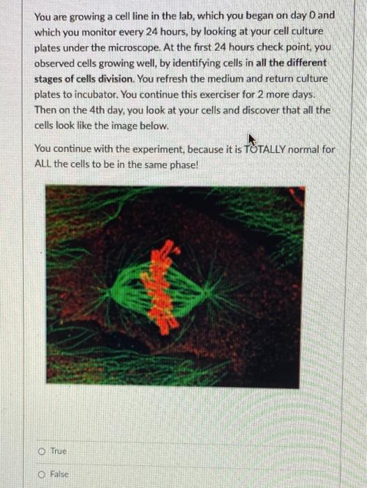 Solved You are growing a cell line in the lab, which you | Chegg.com