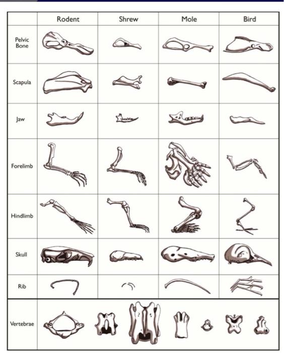 please identify and complete the table. these results | Chegg.com