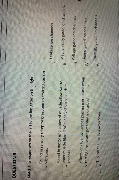 Solved QUESTION 2 Match the option on the left to those on | Chegg.com