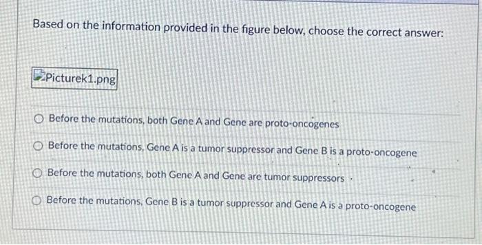 Solved Based on the information provided in the figure | Chegg.com