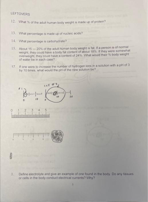 1. Looking at the following cell, identify and give | Chegg.com
