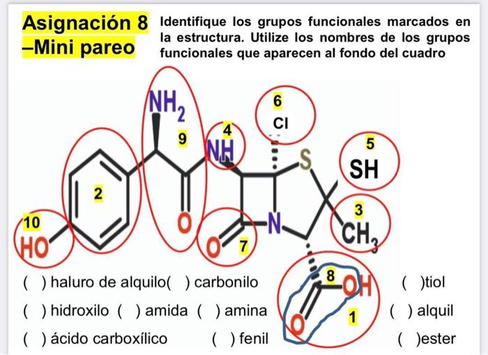 Asignación 8 Identifique los grupos funcionales marcados en -Mini pareo funcionales que aparecen al fondo del cuadro \( (\mat