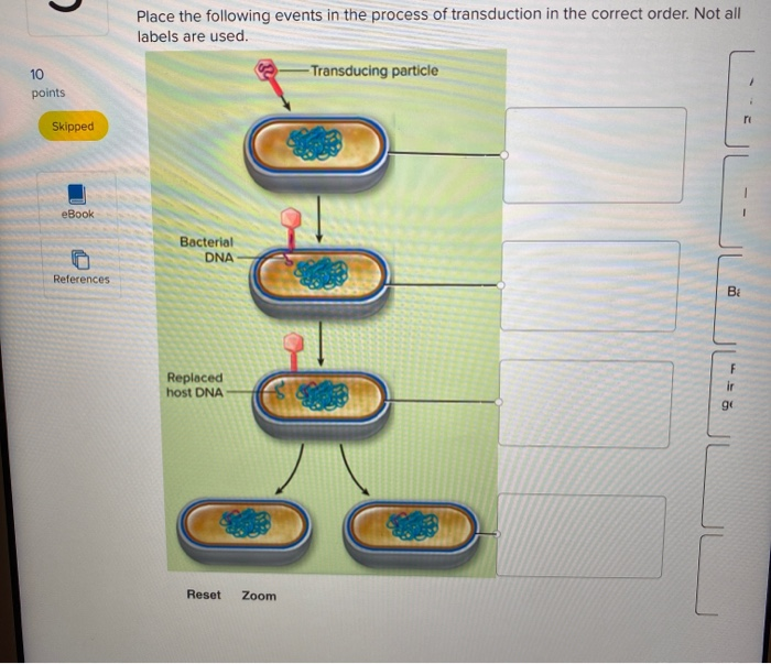2 Place the following events in the process of | Chegg.com