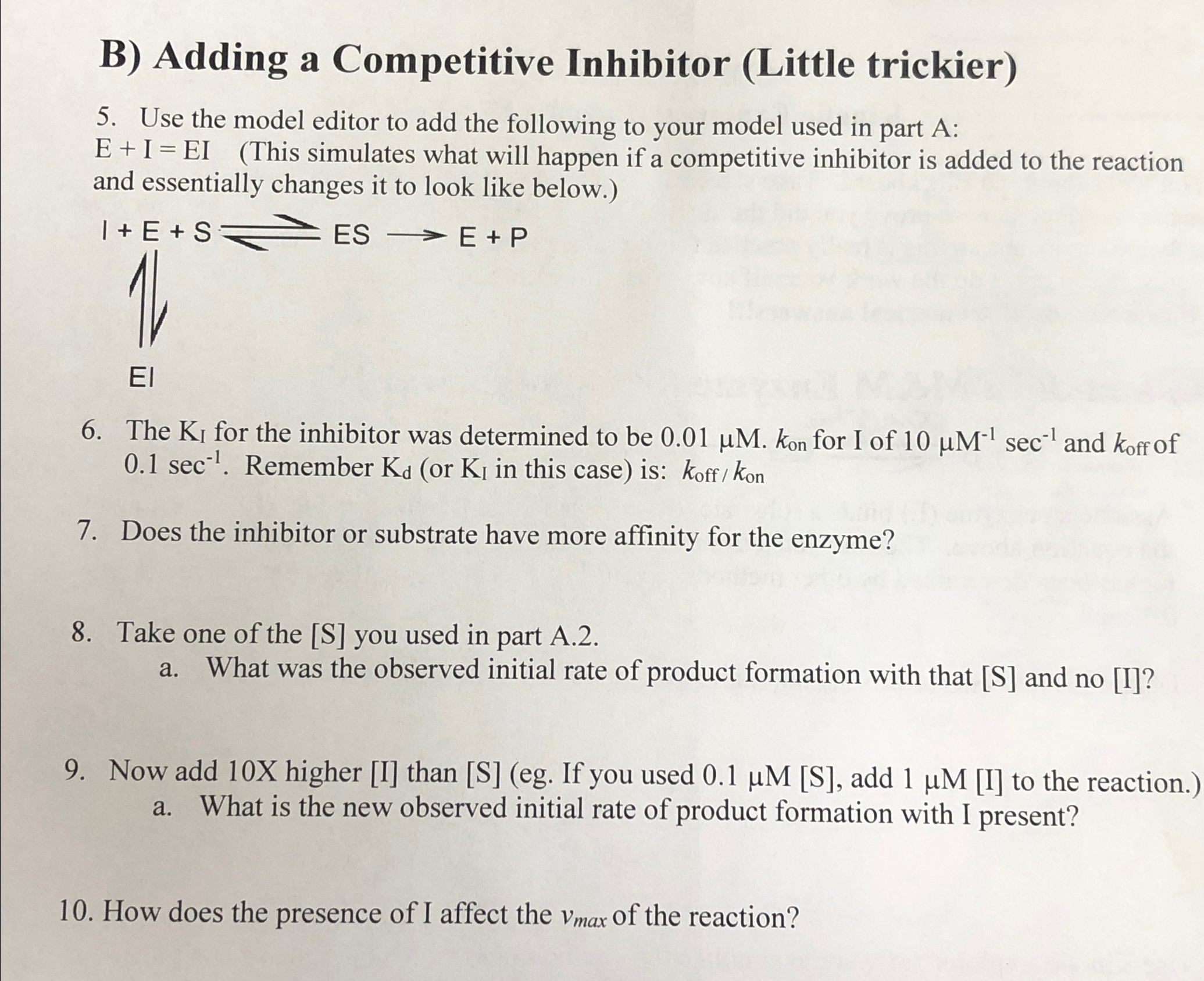 B) ﻿Adding a Competitive Inhibitor (Little | Chegg.com