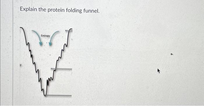 Solved Explain the protein folding funnel. | Chegg.com