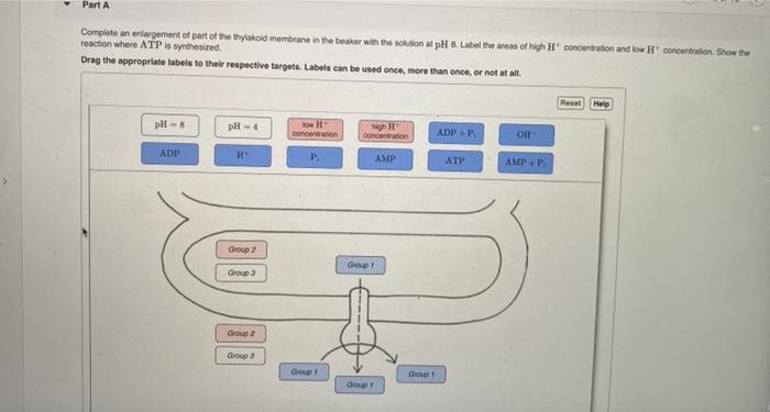 Solved Part A Complete an enlargement of part of the | Chegg.com