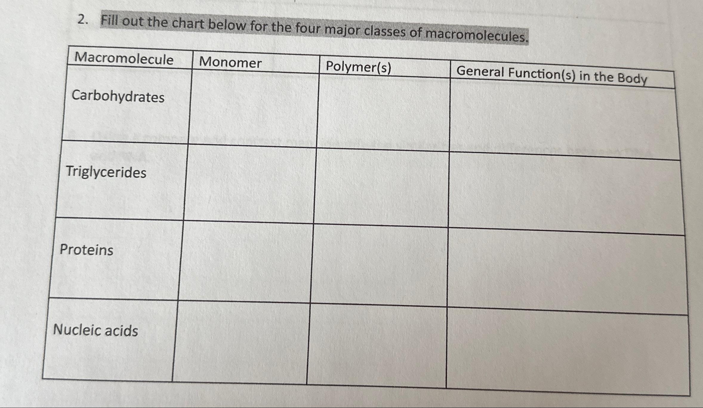 four macromolecules