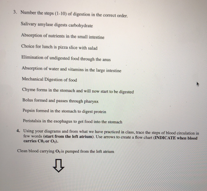 Solved 3. Number the steps (1-10) of digestion in the | Chegg.com