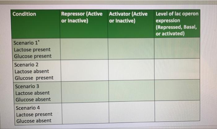 Solved Condition Repressor (Active Activator (Active or | Chegg.com