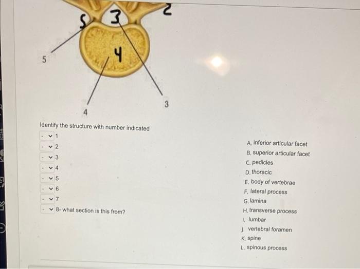 Solved 7 7 1 2 6 3 4 5 3 Identify the structure with number | Chegg.com