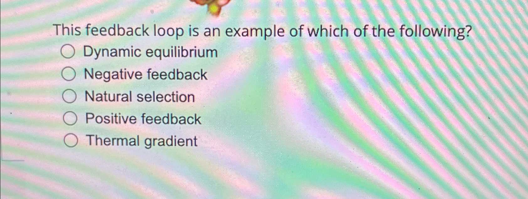 Solved This feedback loop is an example of which of the | Chegg.com