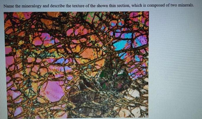 Name the mineralogy and describe the texture of the shown thin section, which is composed of two minerals.