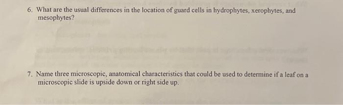 guard cells slide