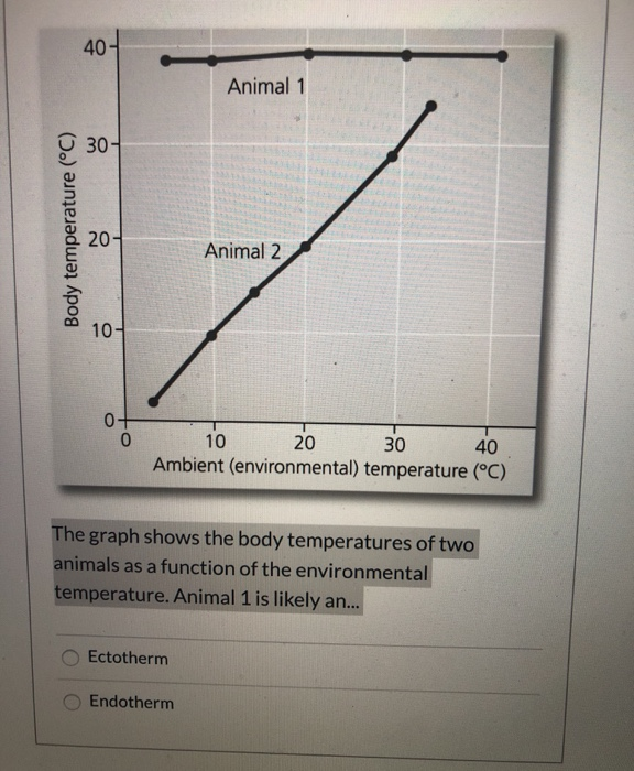 Solved 40- Animal 1 Body temperature (°C) Animal 2 0 10 20 