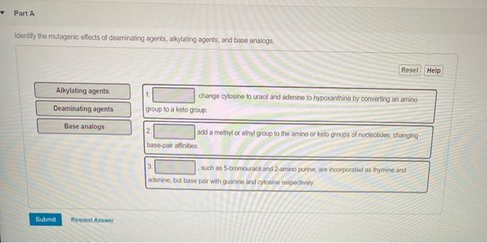 Solved Part A Identify the mutagenic effects of deaminating | Chegg.com