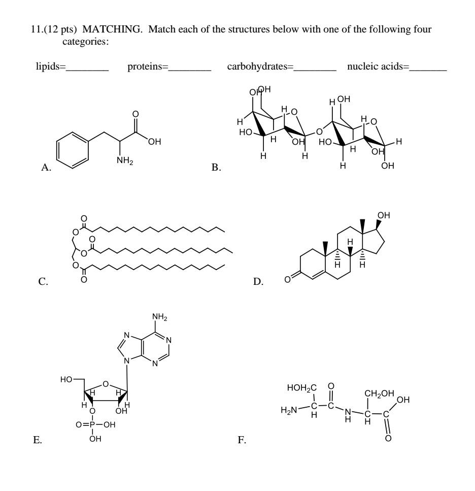 Solved 11.(12 pts) MATCHING. Match each of the structures | Chegg.com