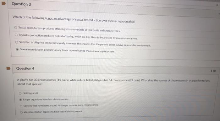 solved-question-3-which-of-the-following-is-not-an-advantage-chegg